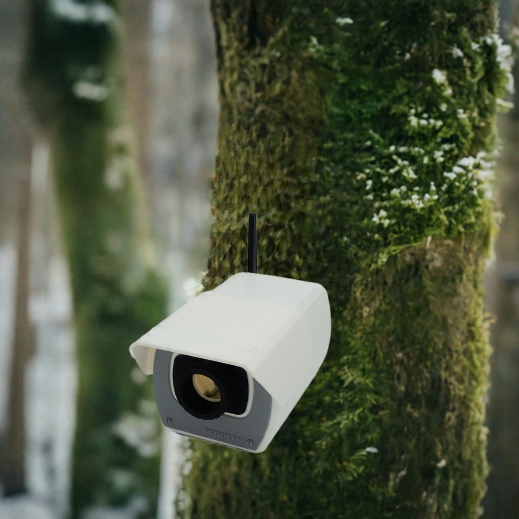 SpyCam Birdhouse
