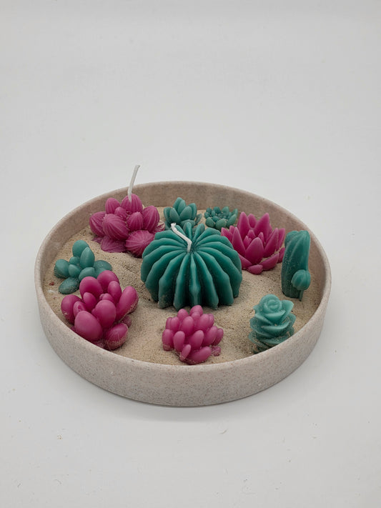 Enchanted Succulent Scented Candle Garden