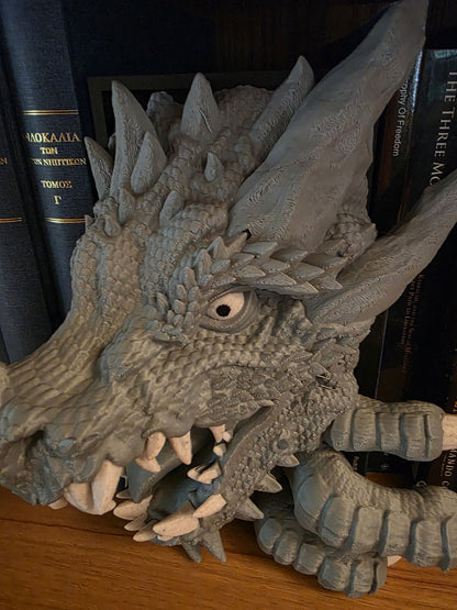 Dragon's Fury Booknook