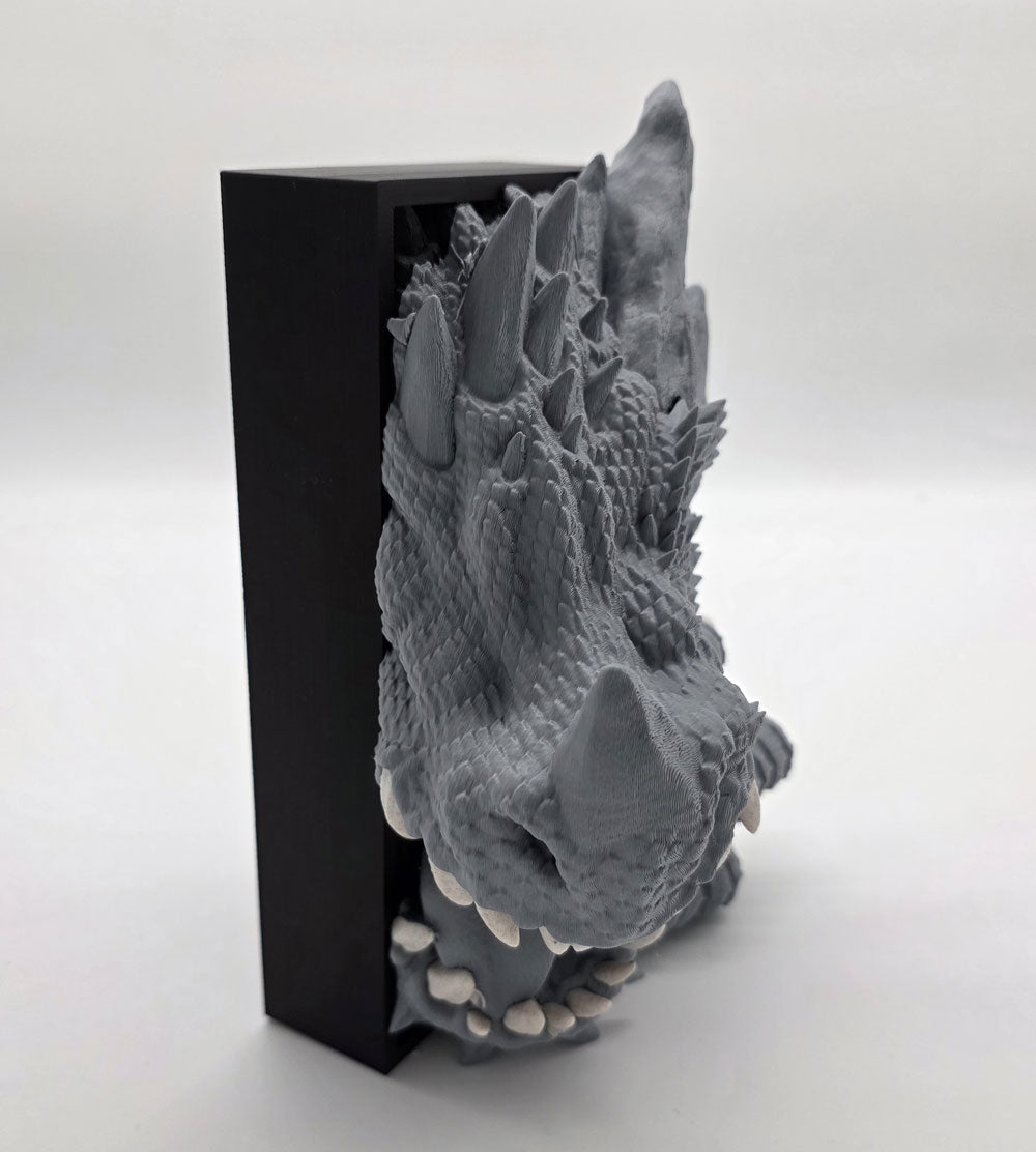 Dragon's Fury Booknook