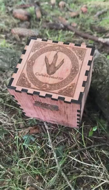 Mystical Telescoping Dragon Egg & Engraved Wooden Nest Box