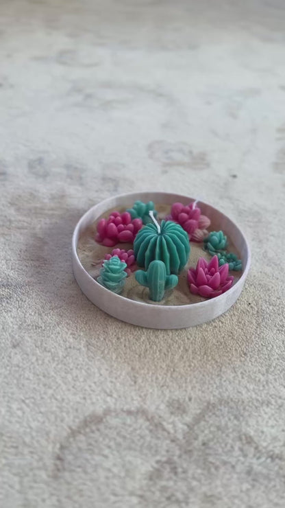 Enchanted Succulent Scented Candle Garden