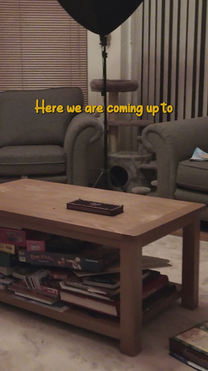 Valentines Enchanted Rose Glow Light