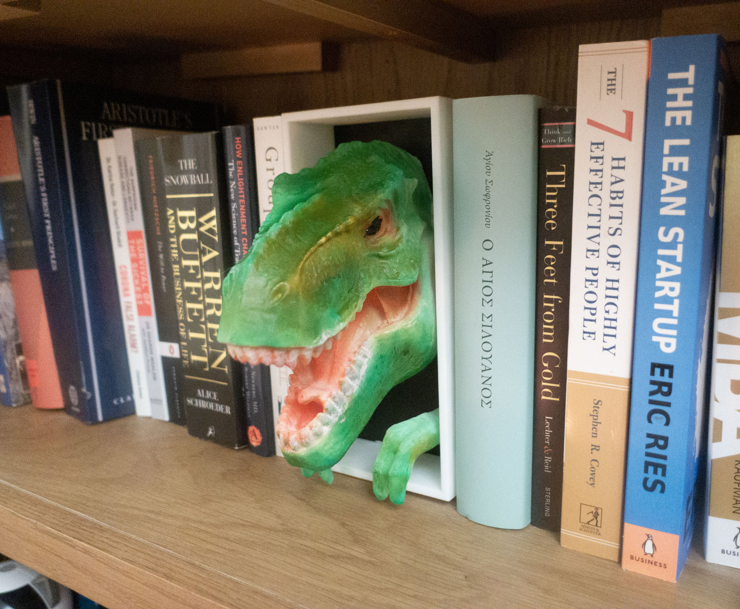 T-Rex Booknook