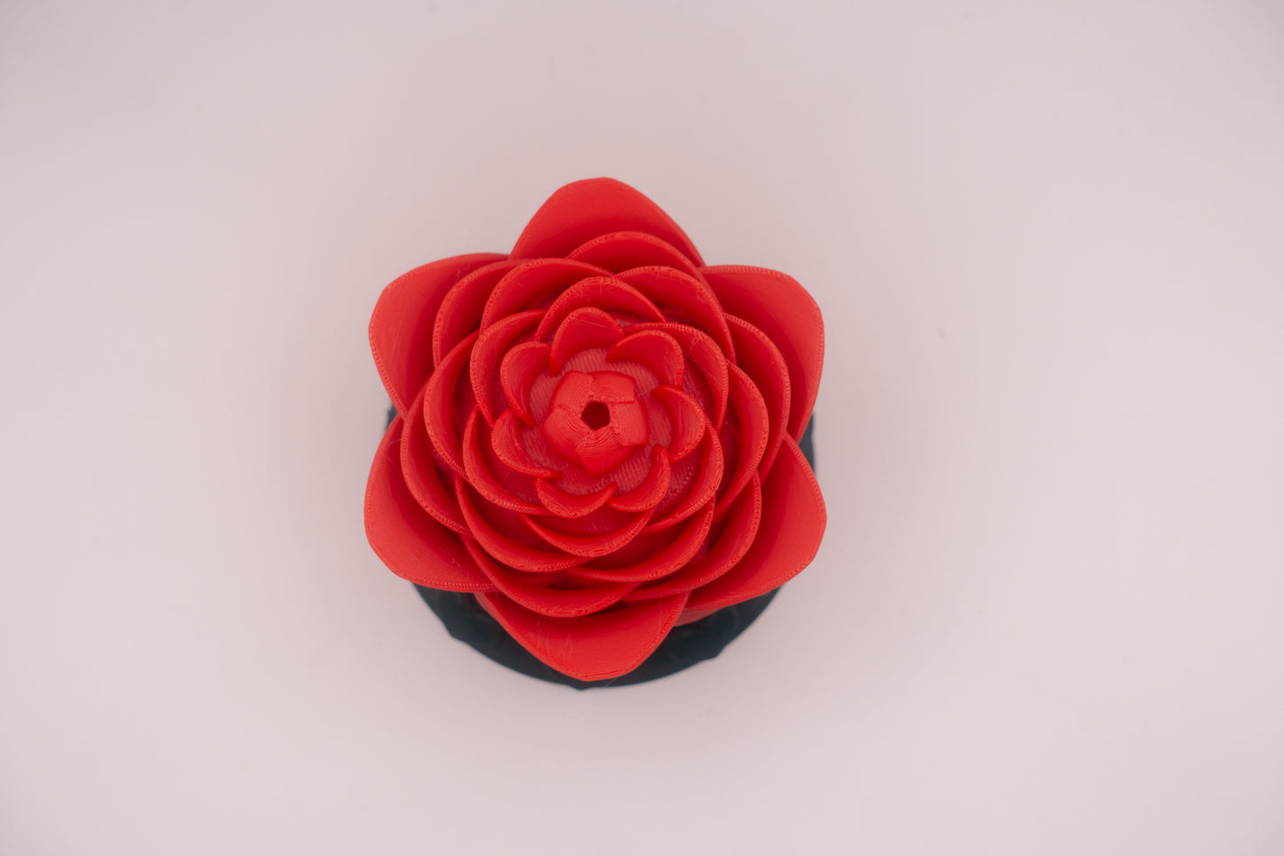 Valentines Enchanted Rose Glow Light