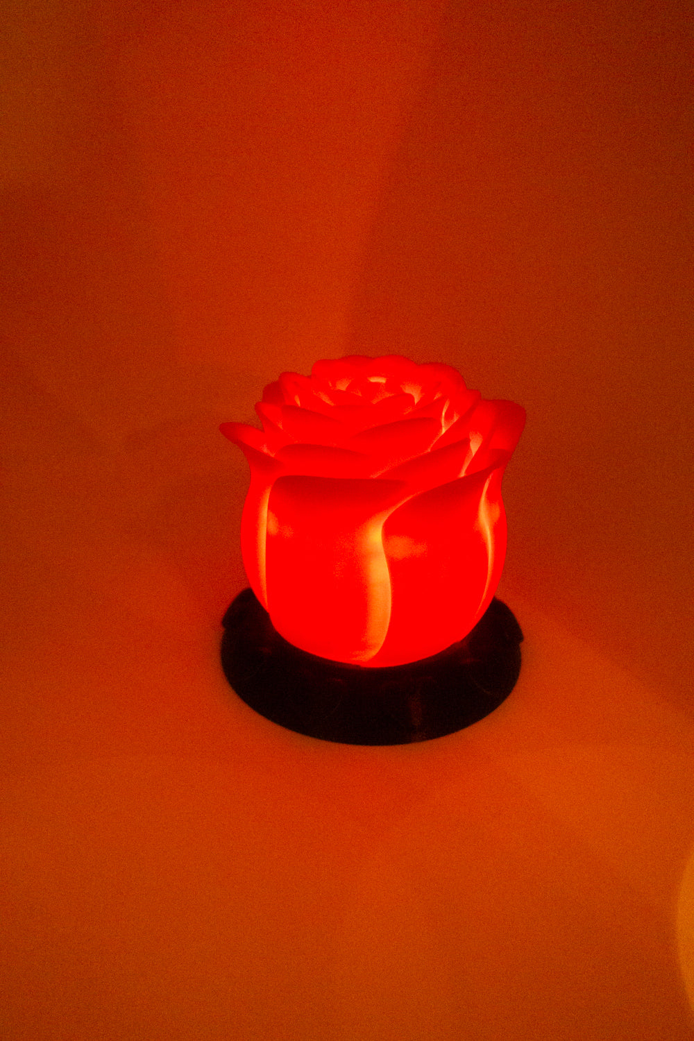 Valentines Enchanted Rose Glow Light